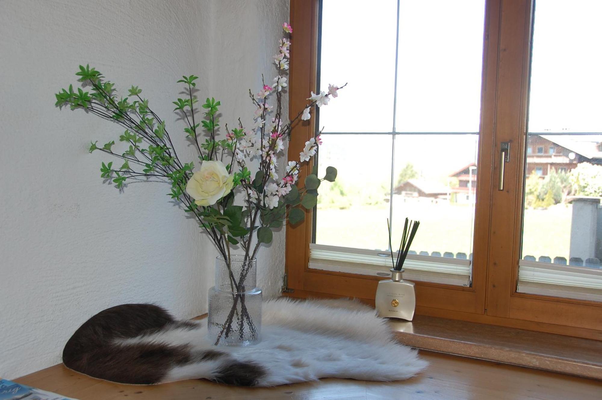 Villa Haus Hart Im Zillertal 6 Personen Esterno foto